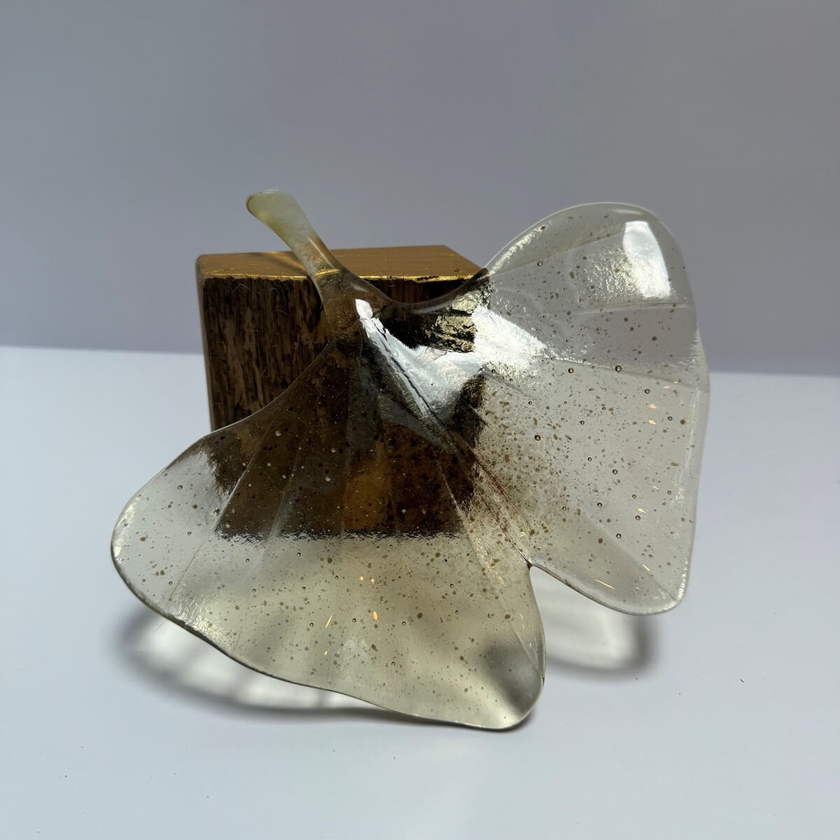 Ginkoblad - Glasvaardig